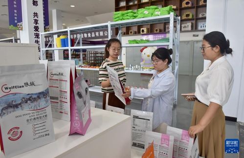 河北邢臺 以鄉(xiāng)村電商與信息咨詢鋪就產(chǎn)業(yè)振興快車道